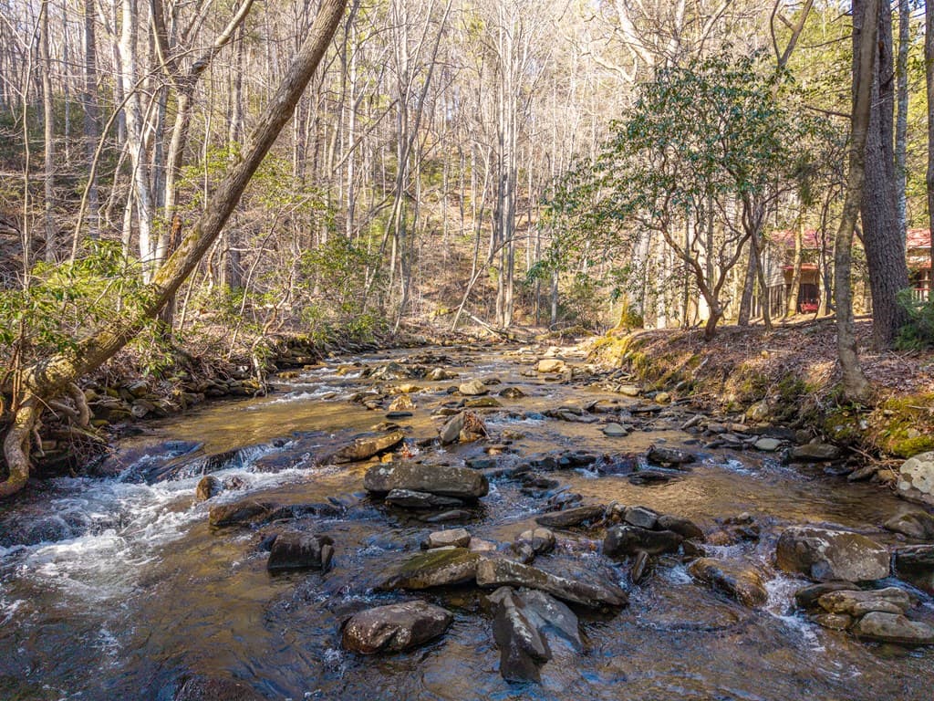 5411 Turniptown Road, Ellijay GA 30536 - Photo