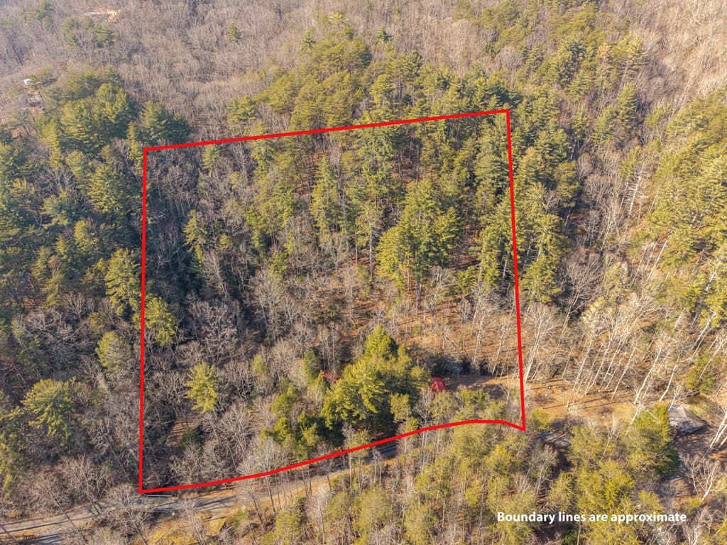 5411 Turniptown Road, Ellijay GA 30536 - Photo