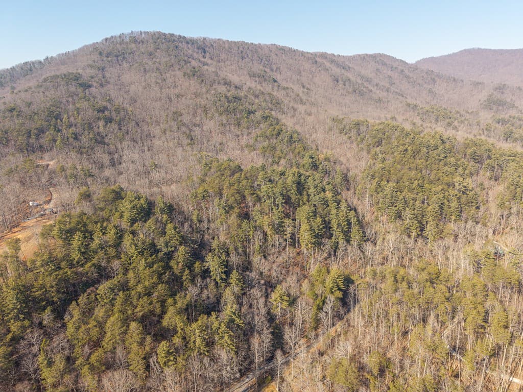 5411 Turniptown Road, Ellijay GA 30536 - Photo