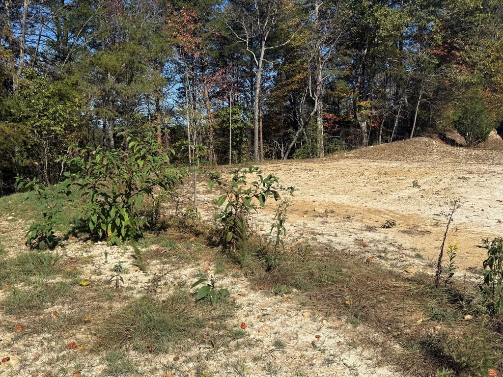 Lot 11 Lindsey Lane, Blue Ridge GA 30513 - Photo