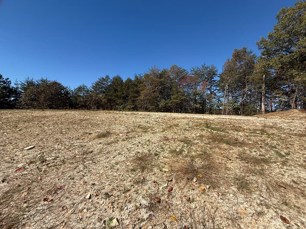 Lot 11 Lindsey Lane, Blue Ridge GA 30513 - Photo