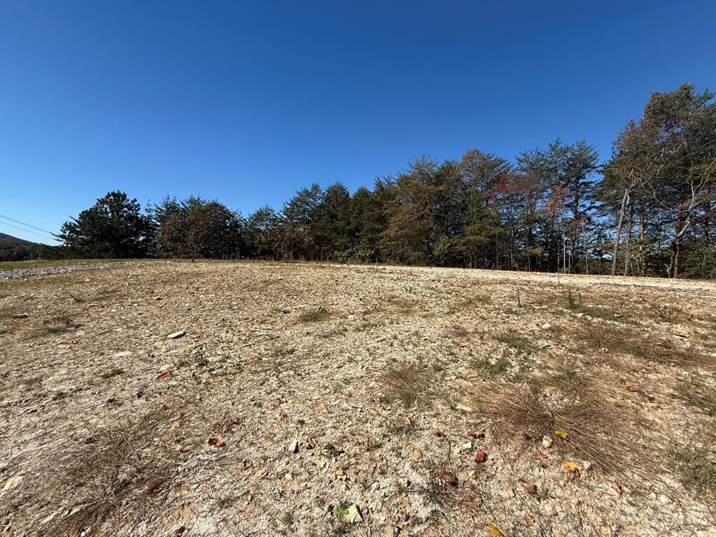 Lot 11 Lindsey Lane, Blue Ridge GA 30513 - Photo