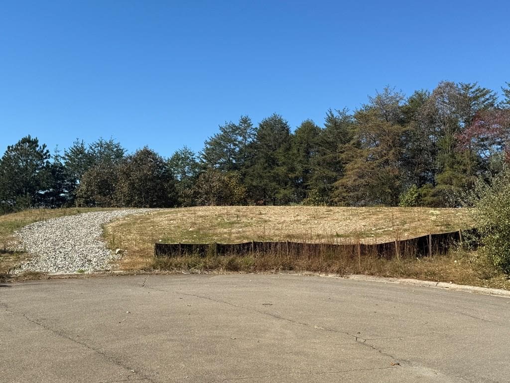 Lot 11 Lindsey Lane, Blue Ridge GA 30513 - Primary photo