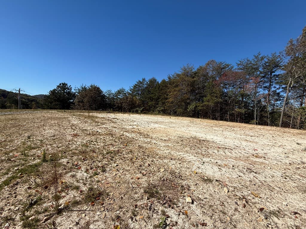 Lot 11 Lindsey Lane, Blue Ridge GA 30513 - Photo