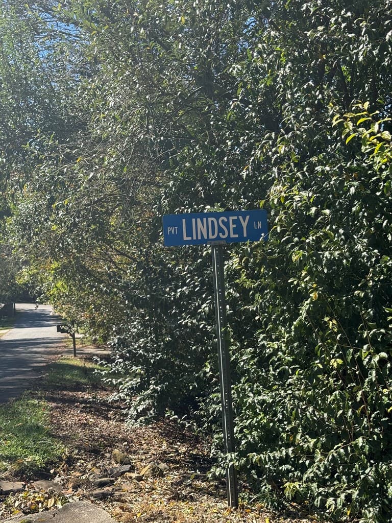 Lot 11 Lindsey Lane, Blue Ridge GA 30513 - Photo
