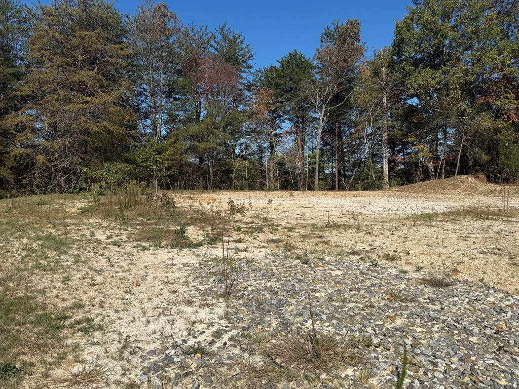 Lot 11 Lindsey Lane, Blue Ridge GA 30513 - Photo