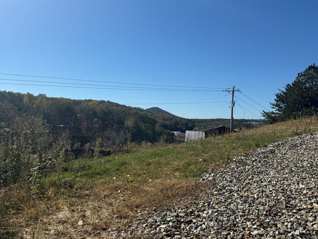 Lot 11 Lindsey Lane, Blue Ridge GA 30513 - Photo