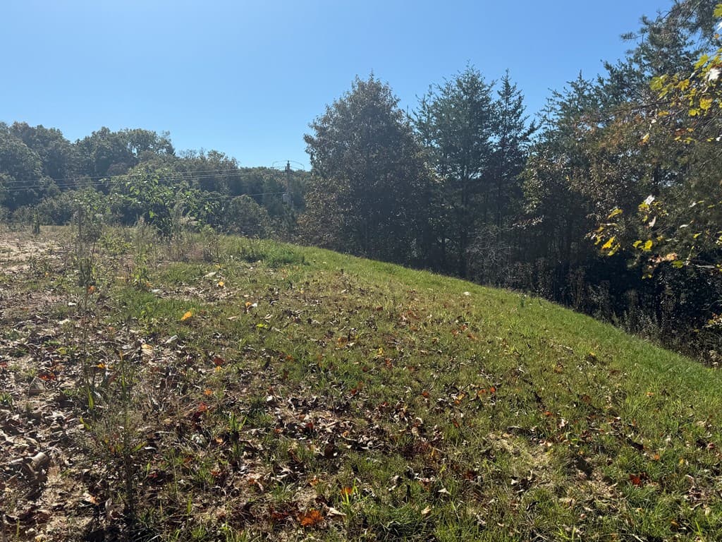 Lot 11 Lindsey Lane, Blue Ridge GA 30513 - Photo