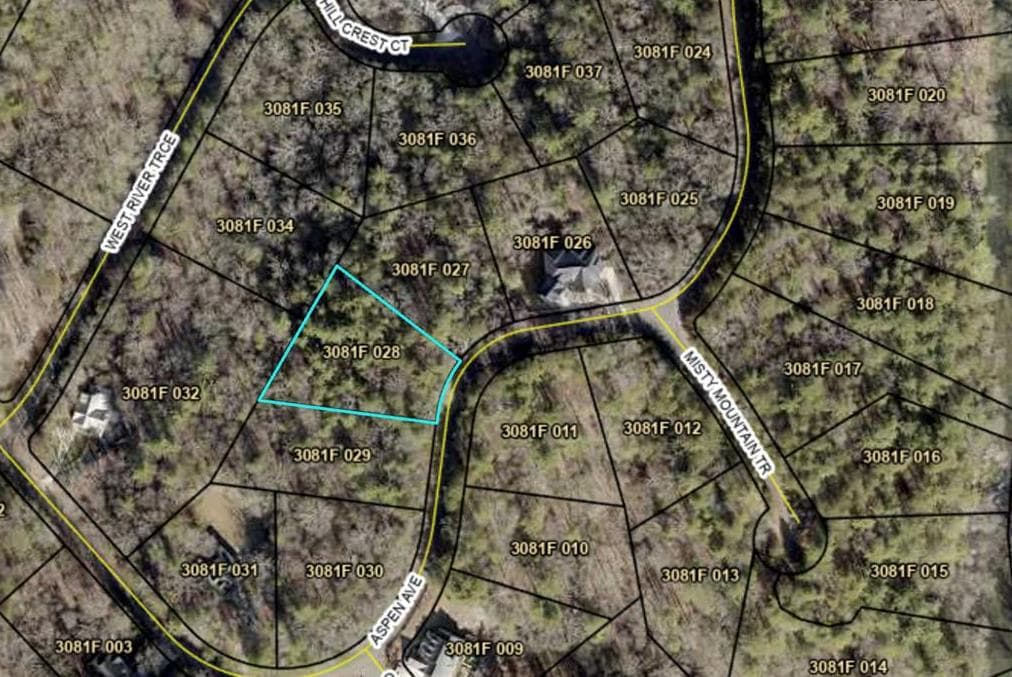 291 Aspen Avenue, Ellijay GA 30536 - Photo