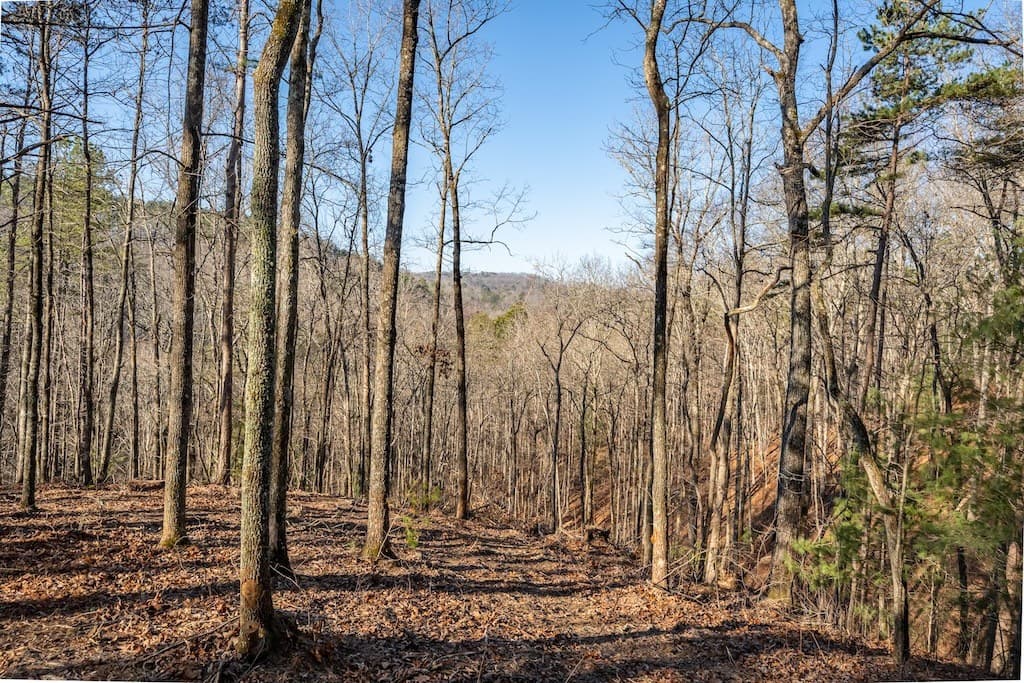 1665 Hunter Drive, Talking Rock GA 30175 - Photo