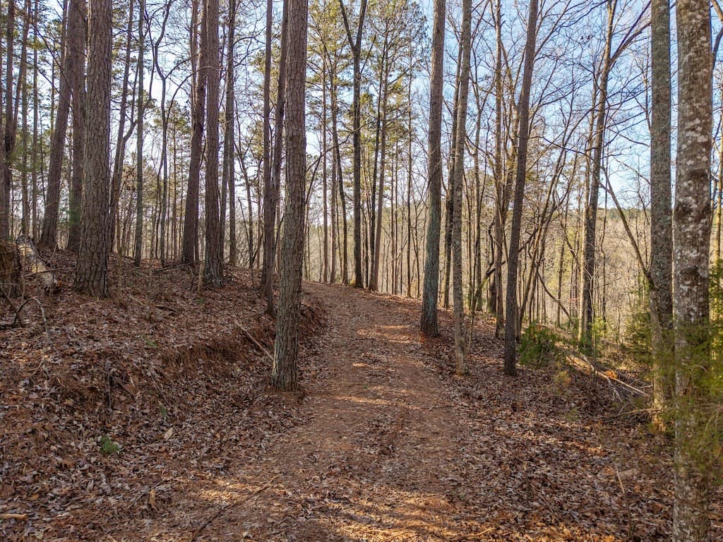 1665 Hunter Drive, Talking Rock GA 30175 - Photo