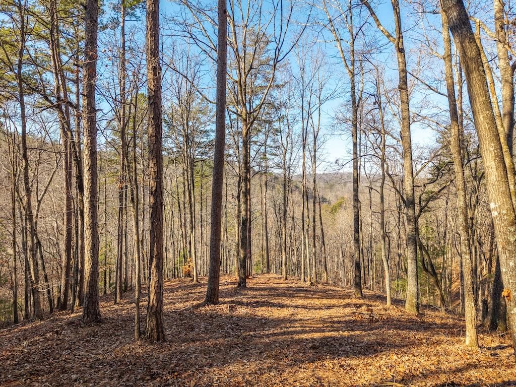 1665 Hunter Drive, Talking Rock GA 30175 - Primary photo