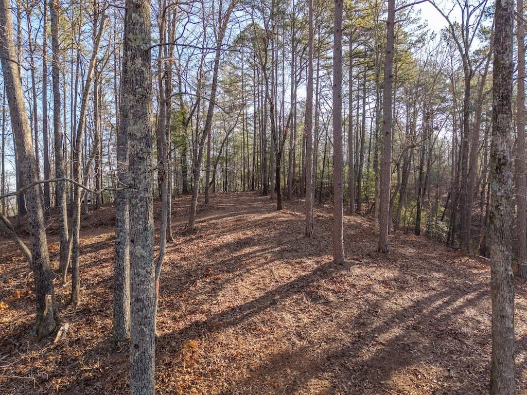 1665 Hunter Drive, Talking Rock GA 30175 - Photo