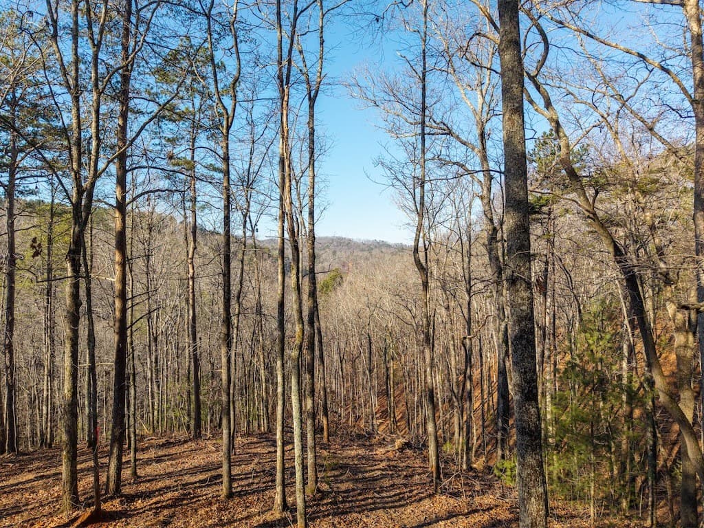 1665 Hunter Drive, Talking Rock GA 30175 - Photo