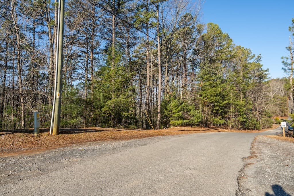 1665 Hunter Drive, Talking Rock GA 30175 - Photo