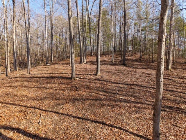 1884 Finale Street, Talking Rock GA 30175 - Photo