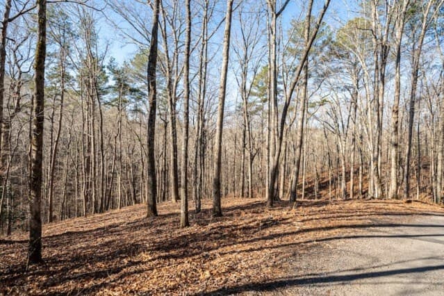 1884 Finale Street, Talking Rock GA 30175 - Photo