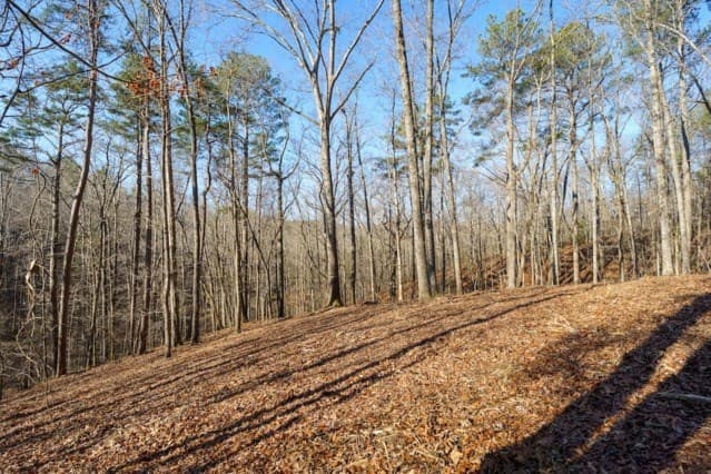 1884 Finale Street, Talking Rock GA 30175 - Photo