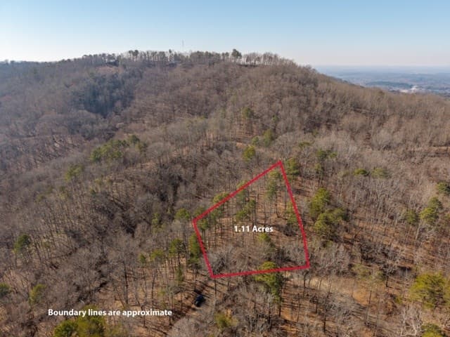 1110 Mayfield Lane, Ranger GA 30734 - Photo