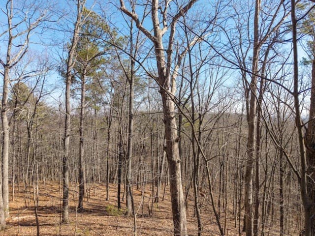 1110 Mayfield Lane, Ranger GA 30734 - Photo