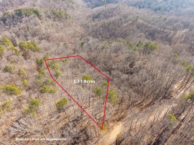 1110 Mayfield Lane, Ranger GA 30734 - Photo