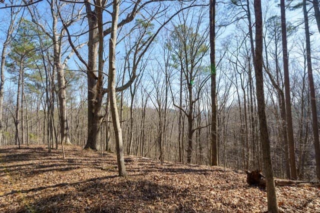 1110 Mayfield Lane, Ranger GA 30734 - Photo