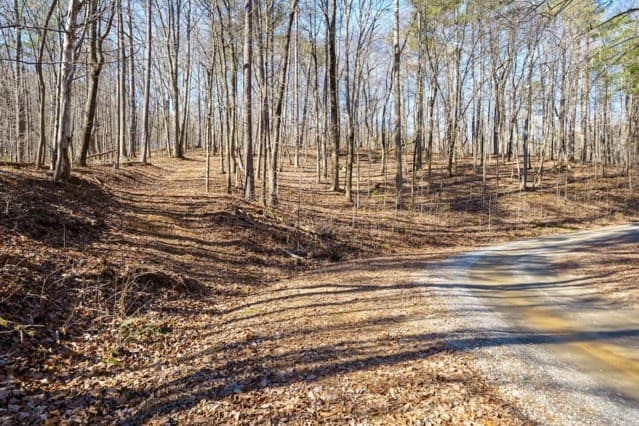 1110 Mayfield Lane, Ranger GA 30734 - Photo