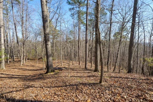 1110 Mayfield Lane, Ranger GA 30734 - Photo