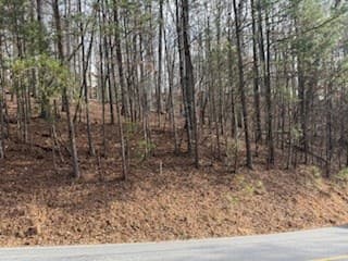 Lot 2119 Newport Drive, Ellijay GA 30540 - Photo