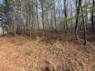 Lot 2119 Newport Drive, Ellijay GA 30540 - Photo