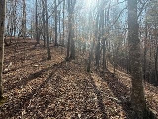 Lot 2119 Newport Drive, Ellijay GA 30540 - Primary photo