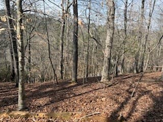 Lot 2119 Newport Drive, Ellijay GA 30540 - Photo