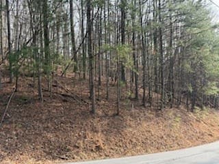 Lot 2119 Newport Drive, Ellijay GA 30540 - Photo