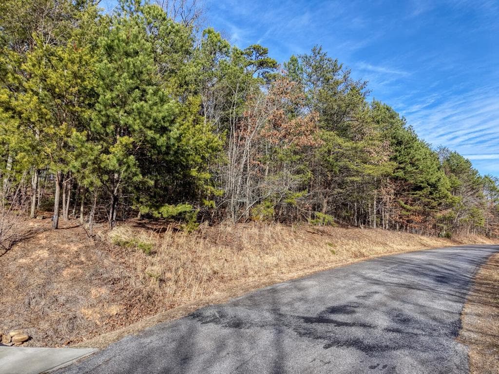 41 Hidden Fields Road, Hiawassee GA 30546 - Photo