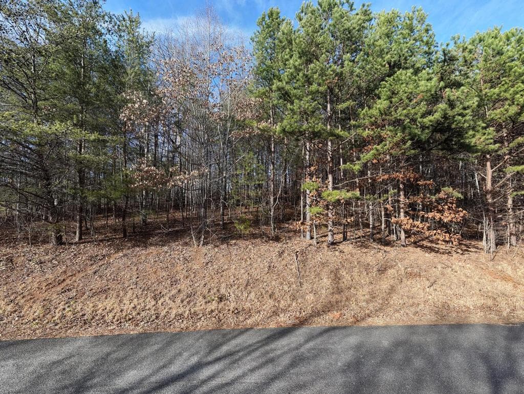 41 Hidden Fields Road, Hiawassee GA 30546 - Photo
