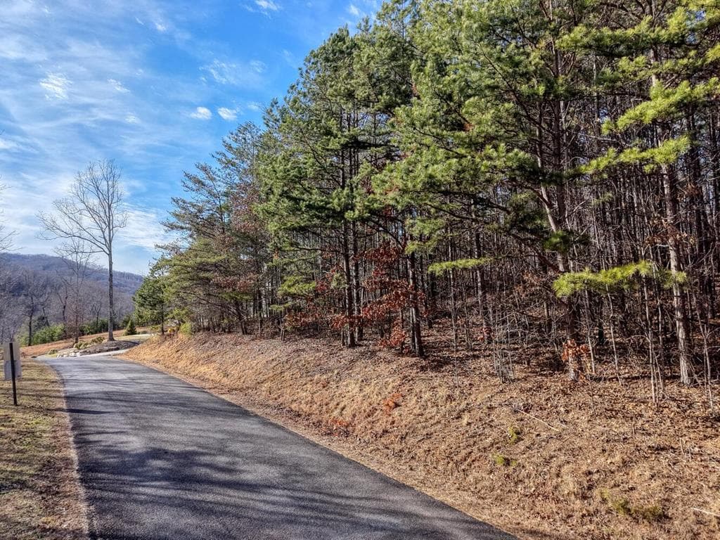 41 Hidden Fields Road, Hiawassee GA 30546 - Photo
