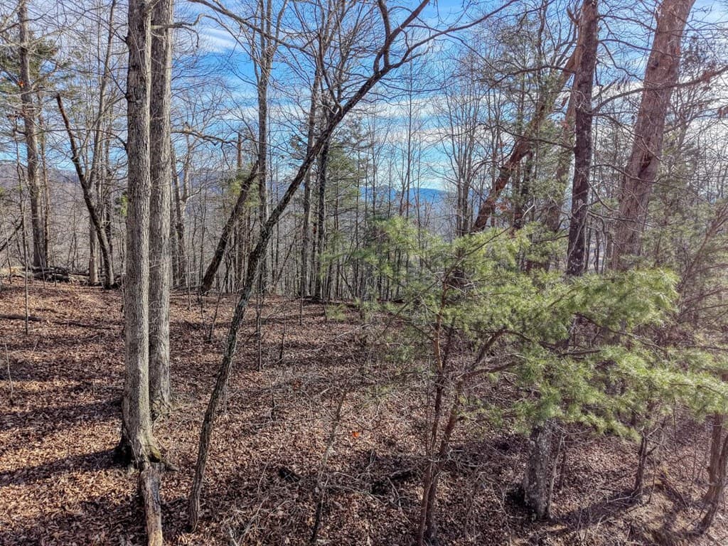 Lot 5 Harris Ridge, Young Harris GA 30582 - Photo