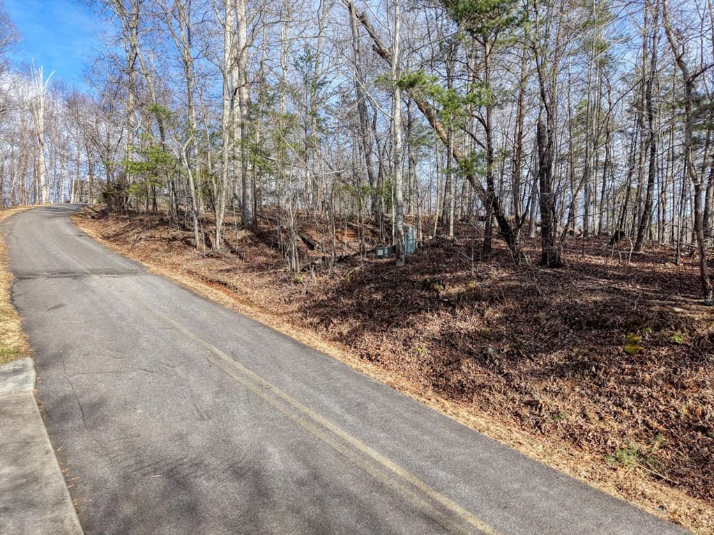 Lot 5 Harris Ridge, Young Harris GA 30582 - Photo