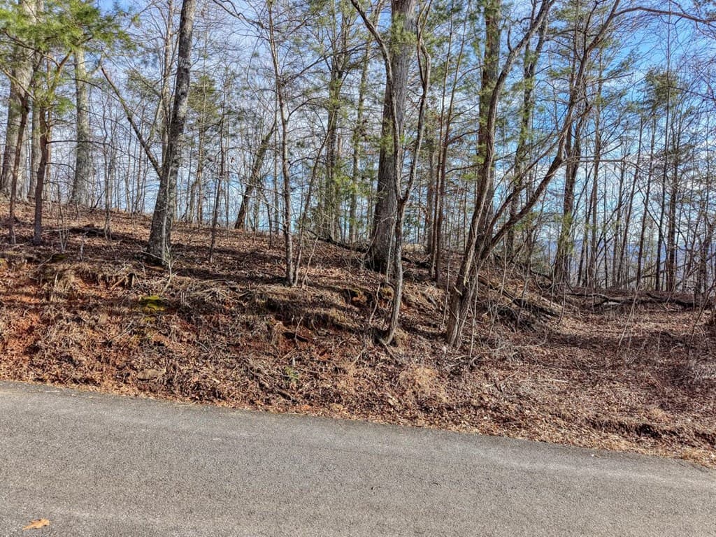 Lot 5 Harris Ridge, Young Harris GA 30582 - Photo