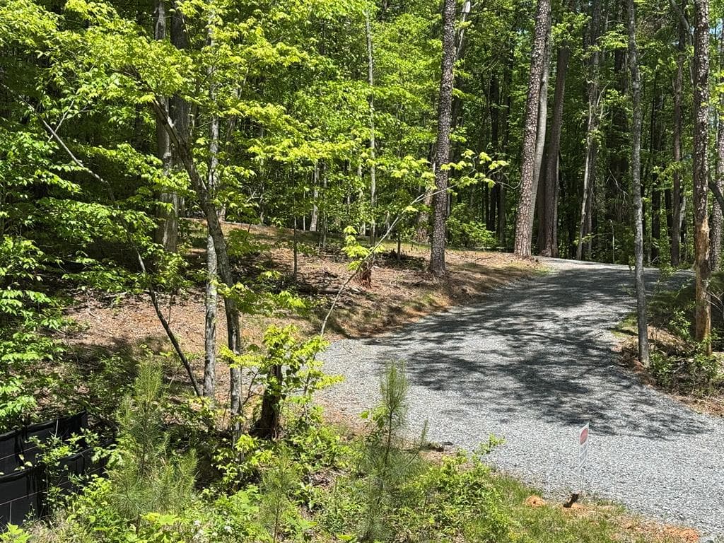 Lot 639 Moreland Drive, Blue Ridge GA 30513 - Photo