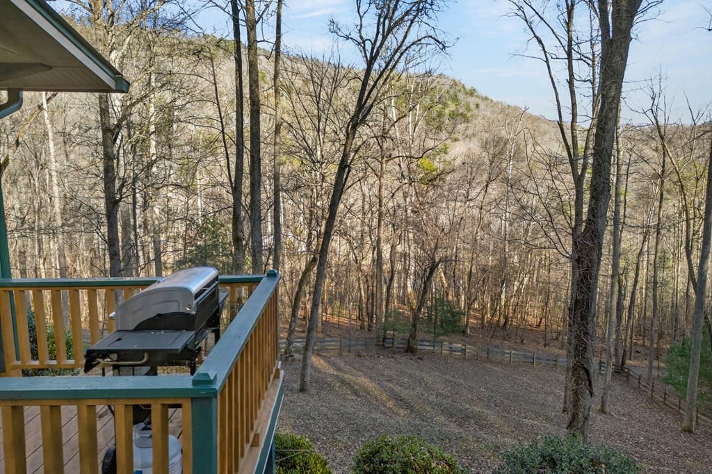 317 Collins Creek Road, Hiawassee GA 30546 - Photo