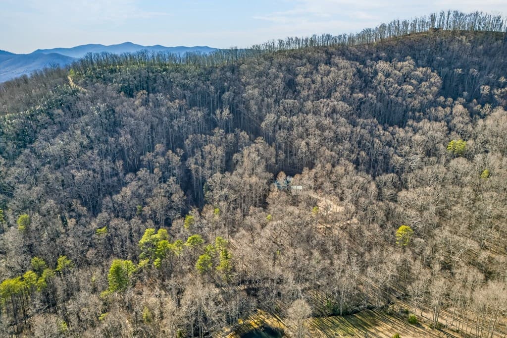 317 Collins Creek Road, Hiawassee GA 30546 - Photo