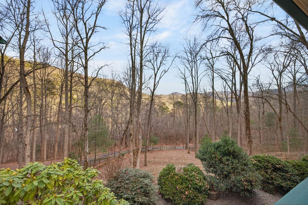 317 Collins Creek Road, Hiawassee GA 30546 - Photo