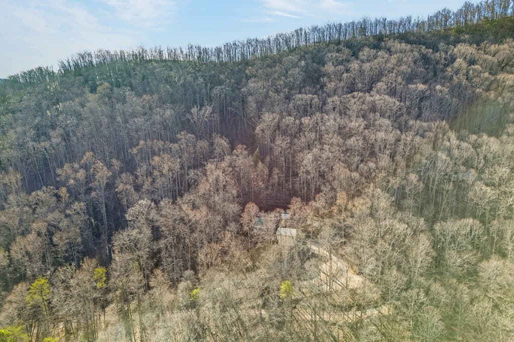 317 Collins Creek Road, Hiawassee GA 30546 - Photo