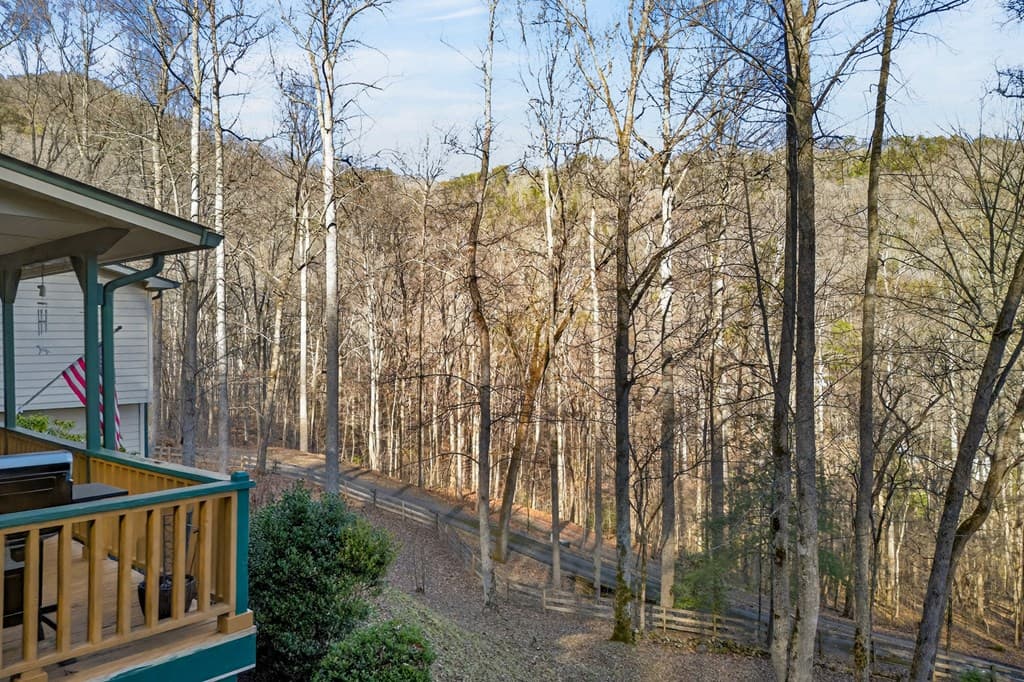 317 Collins Creek Road, Hiawassee GA 30546 - Photo