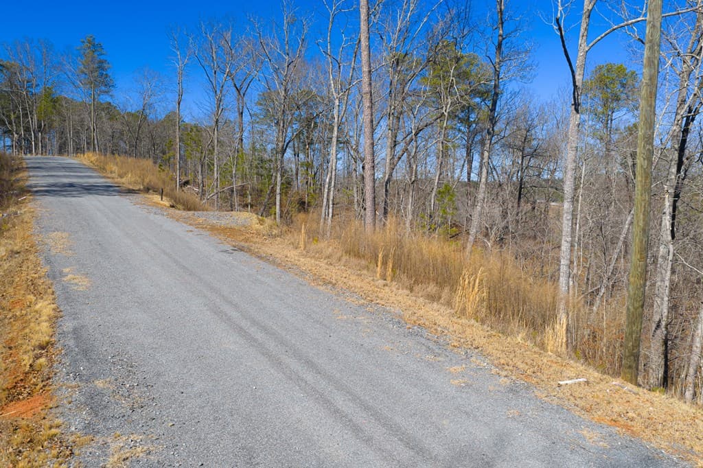 Lot 285 Anglers Ridge Road, Talking Rock GA 30175 - Photo