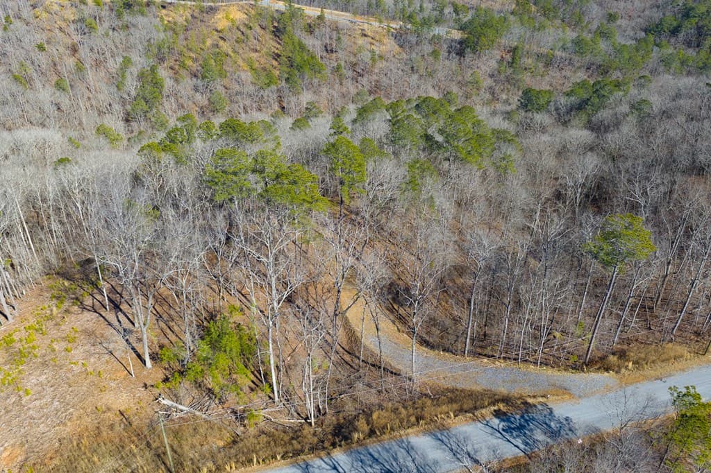 Lot 285 Anglers Ridge Road, Talking Rock GA 30175 - Photo