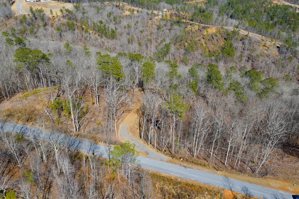 Lot 285 Anglers Ridge Road, Talking Rock GA 30175 - Photo
