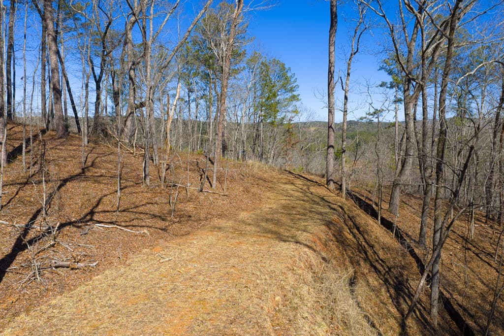 Lot 285 Anglers Ridge Road, Talking Rock GA 30175 - Photo