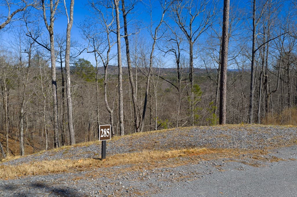 Lot 285 Anglers Ridge Road, Talking Rock GA 30175 - Photo
